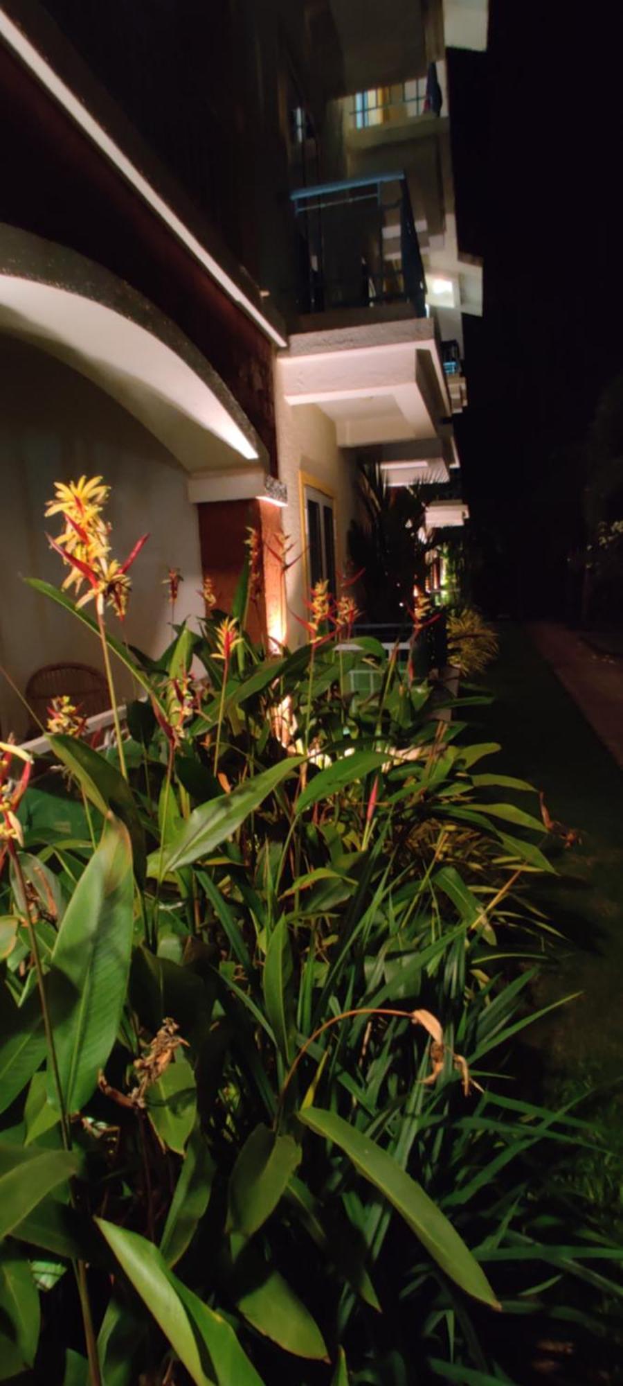 Passions De Goa Hotel Anjuna Bagian luar foto